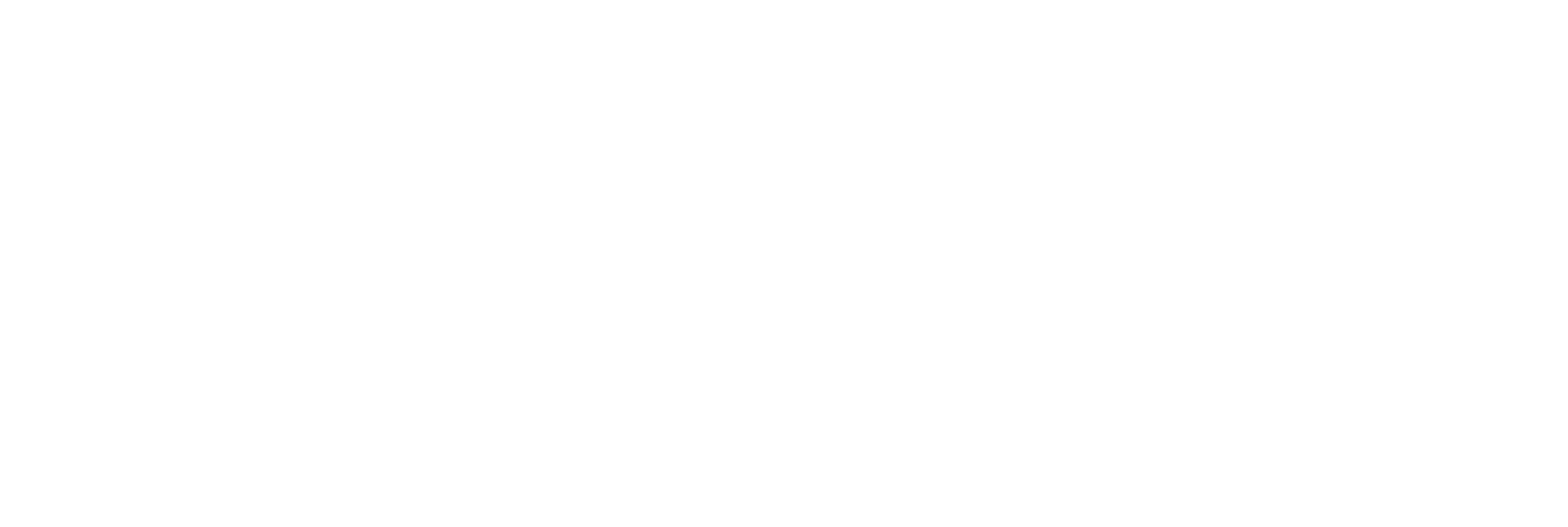 Logo Revisorga Bianco
